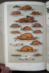 Plate showing birds, including pigeons, from Mrs Beeton, 1888